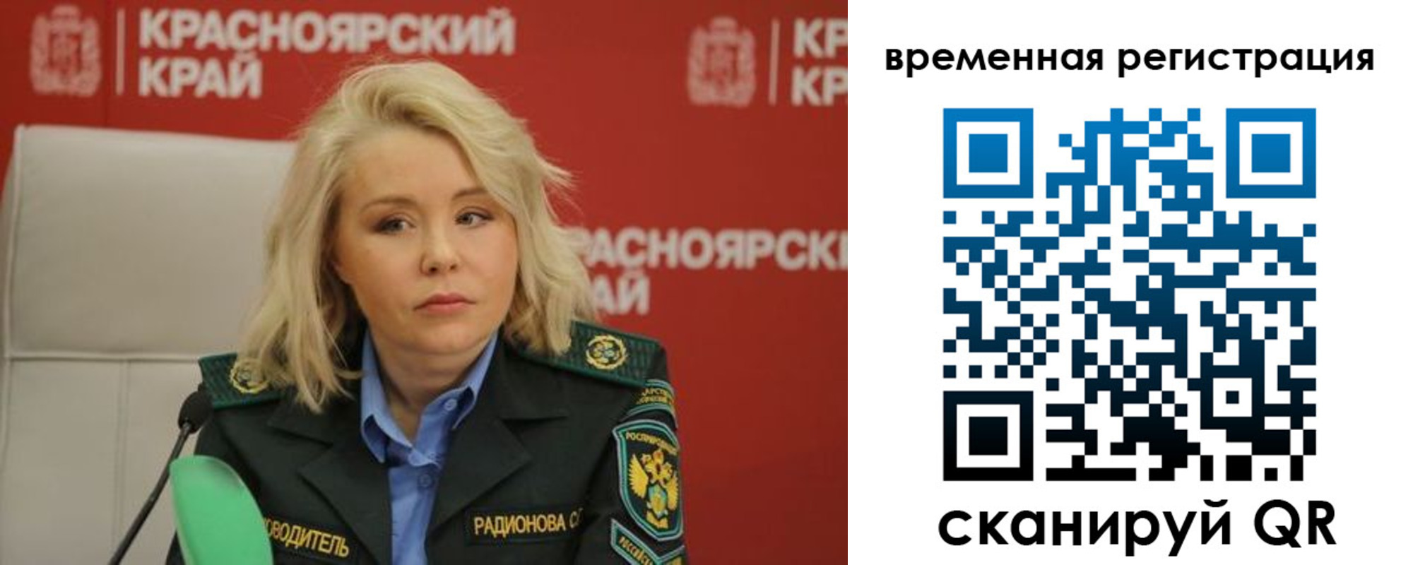 прописка поиск в Камышине