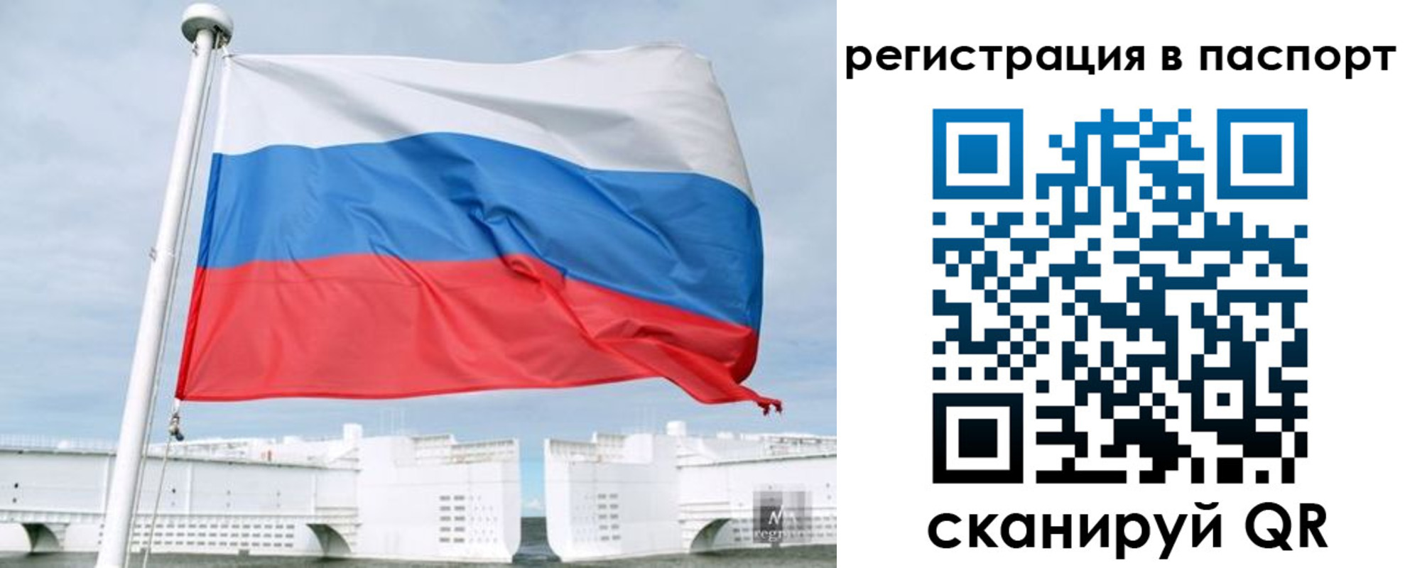 регистрация в Камышине